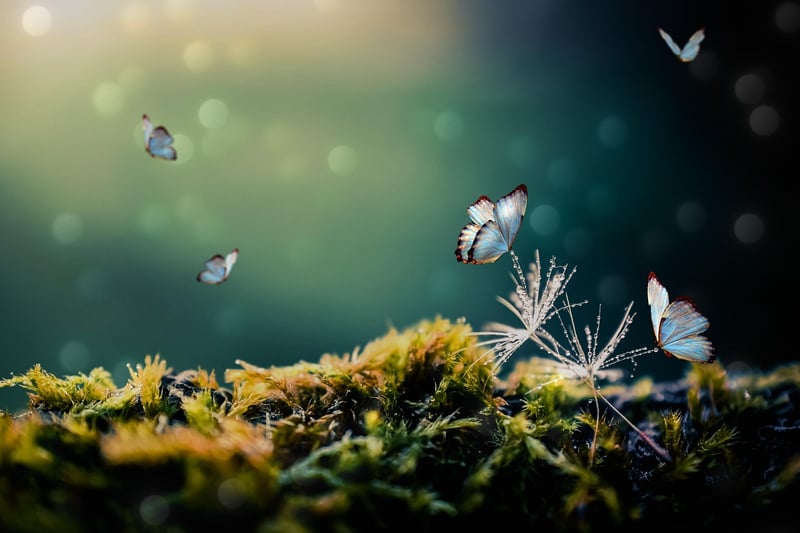 Whimsical Fairytale
